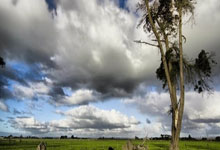 埃瓦尔遭遇连败,亟需调整状态,涅槃重生还是跌入深渊?